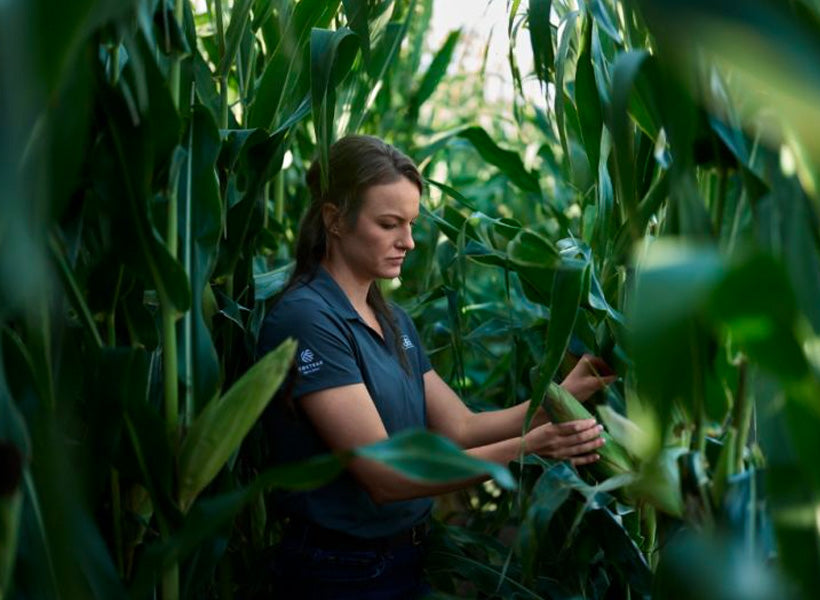 CASE STUDIES | AGRICULTURE | CORTEVA – ARMOR-X