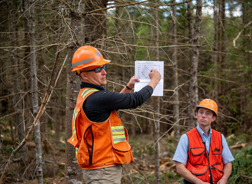 CASE STUDIES | FORESTRY SERVICES | PF OLSEN
