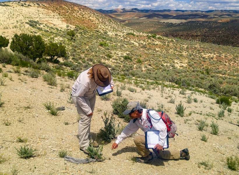 CASE STUDIES | ENVIRONMENTAL CONSULTING SERVICES | SWCA