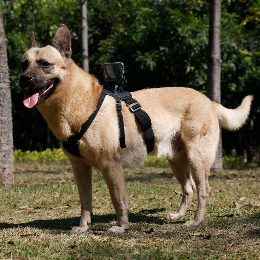 X28K | Dog harness mount | TYPE-K for Active KEY